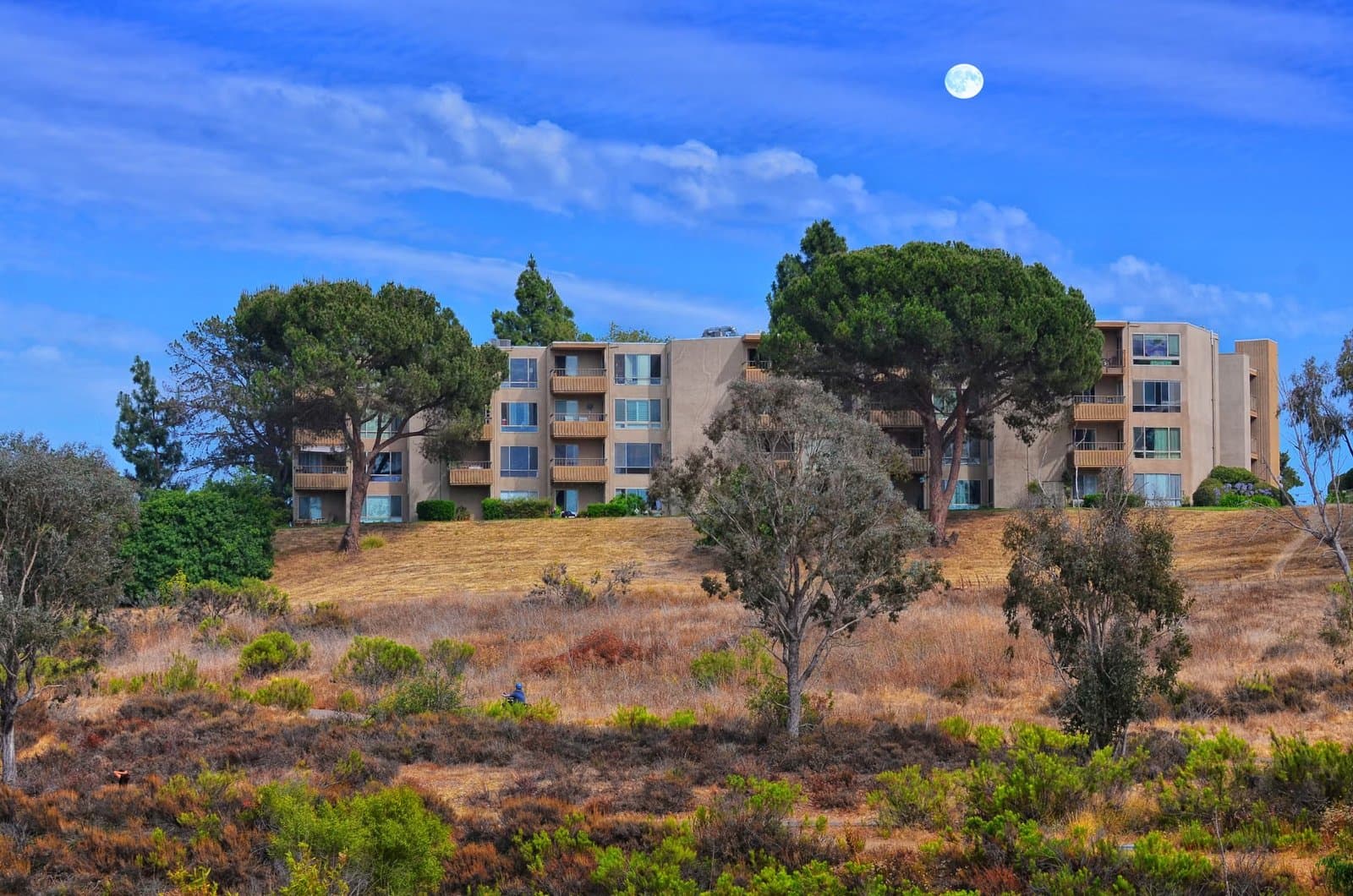 Belmont FHA Buyers Face a Condo-First Market